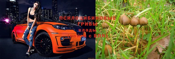гашиш Арсеньев